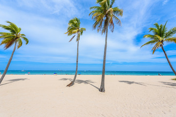 Fototapeta na wymiar Paradise beach at Fort Lauderdale in Florida on a beautiful sumer day. Tropical beach with palms at white beach. USA.