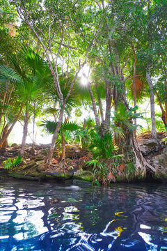 Cenote sinkhole in Riviera Maya of Mexico