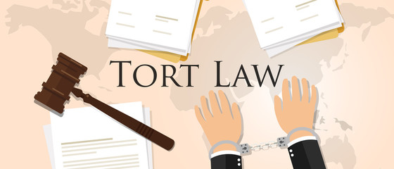tort law concept of justice hammer gavel judgment process legislation paper document - obrazy, fototapety, plakaty