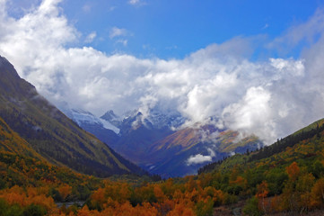 Rich colors of the golden autumn in the mountains