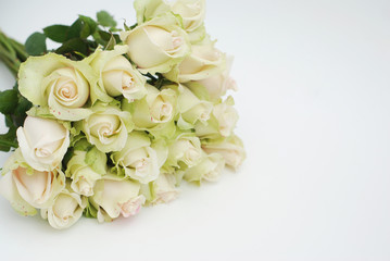 White Rose isolated on white background. Fresh bouquet of flowers.