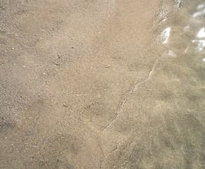 Caribbean beach sand shore detail