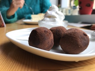Truffles with cocoa on a white plate