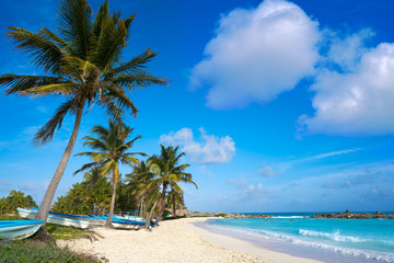 Chen Rio beach Cozumel island in Mexico - 177883172