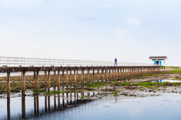 Lonely Man on the Bridge at Lake in Thailand