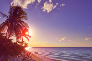 Holbox island sunset palm tree Mexico