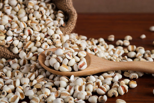 job's Tears in wooden spoon on rustic wood background.