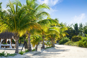 Holbox island palm tree huts Mexico