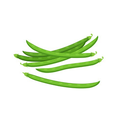 Vegetables. Pods of green bean. Vector illustration cartoon flat icon isolated on white.