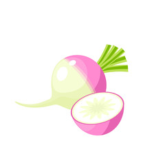 Vegetables. Turnip, whole and half. Vector illustration cartoon flat icon isolated on white.