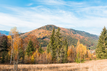 Fototapeta premium landscape of autumn Carpathians