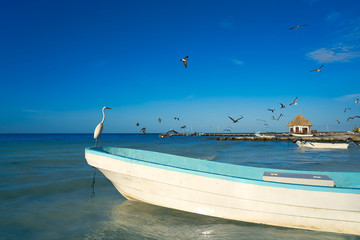 Holbox Island heron bird and boat in a beach