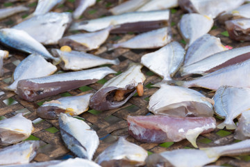 Sun-dried Fish