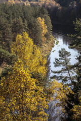 Fototapeta premium Autumn