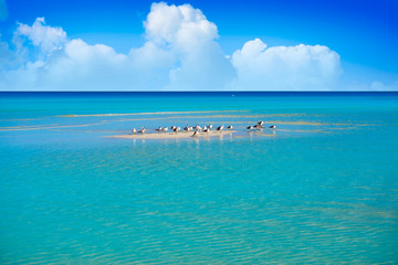 Holbox Island turquoise in Quintana Roo Mexico
