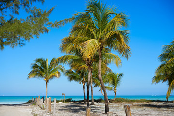 Naklejka na ściany i meble Holbox Island in Quintana Roo Mexico
