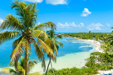 Bahia Honda State Park - Calusa Beach, Florida Keys - tropical coast with paradise beaches - USA - obrazy, fototapety, plakaty