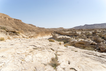 Fototapeta na wymiar Israeli desert travel
