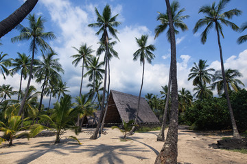 A typical Hawaiian hut surrounded by palm trees