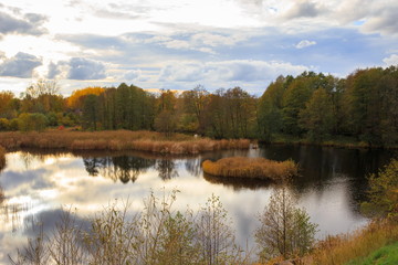 Fototapeta na wymiar Autumn forest and lake in the fall season. Latvia