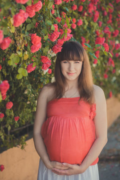 Cute pregnant young mother in airy red whit dress posing enjoying summer day close to red pink roses bush on fence holding her tummy with happy smile.LOvely picture.