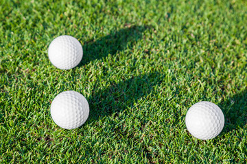 Golf Ball on the Green Grass
