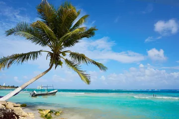 Foto auf Acrylglas Antireflex Der karibische Strand von Mahahual an der Costa Maya © lunamarina
