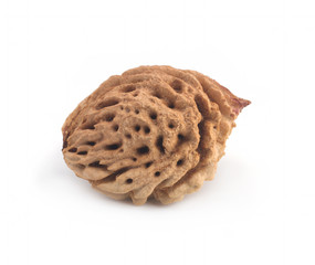 Bones of peaches on a white background