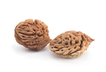 Bones of peaches on a white background
