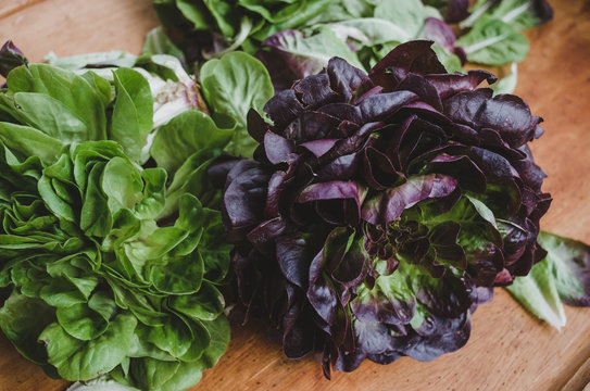 Two heads of lettuce