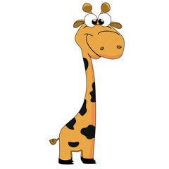 giraffe