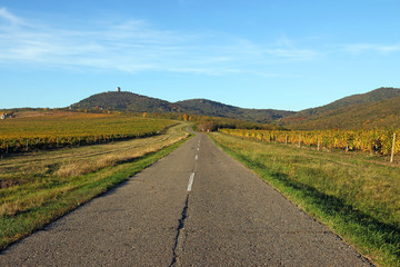The old way goes through the vineyards and hills landscape