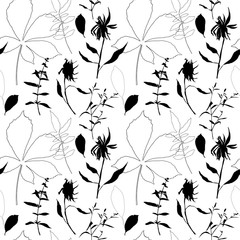 chestnut leaves sunflower herbs pattern small r