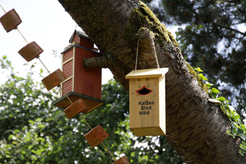 Nistkästen an einem Baum