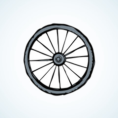 Tire. Vector drawing