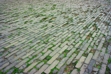 Brick field - Forbidden City, Beijing, China