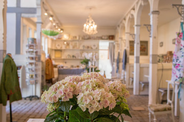 The food and flowers festival at Sanderumglard in Denmark