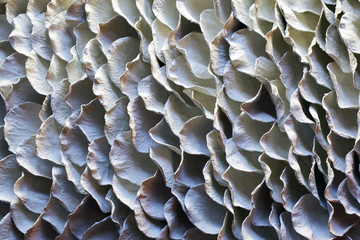 An architectural wall panel with pattern and leave like design