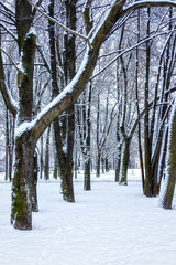 City Park in winter