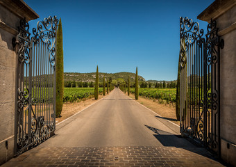 Entrance gate, driveway, vineyards, cypresses and hills