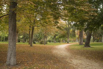 Madrid Spain. October 17, 2017. Park El Retiro, with 125 hectares and more than 15,000 trees.