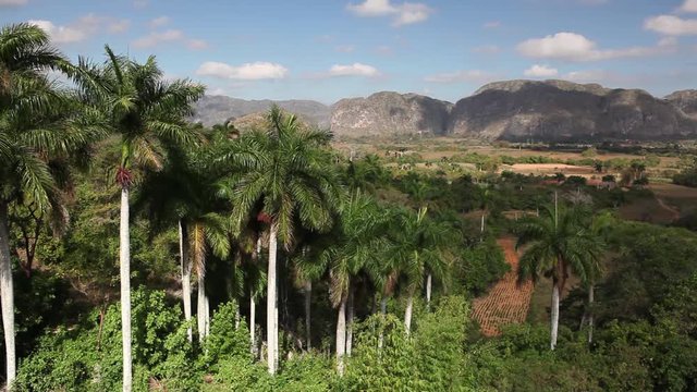 Famous Cuba farmland tobacco area, Valley de Vinales, Pinar del Rio, Cuba.