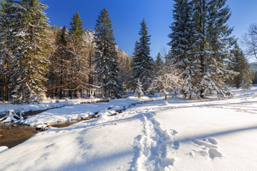 Beautiful scenery of Tatra mountains at snowy winter, Poland