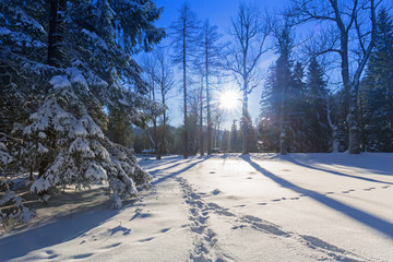Beautiful scenery of Tatra mountains at snowy winter, Poland