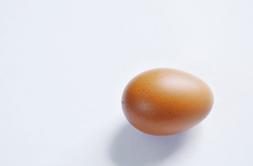 brown egg shell on white background