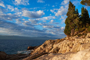 Fototapeta na wymiar sea landscape with sun, stones and plants