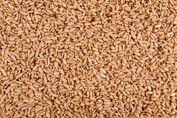 Peeled sunflower seeds background.