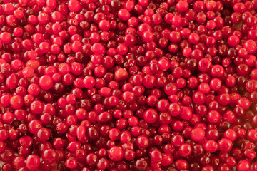 Abstract background from fresh cowberry. Close up.