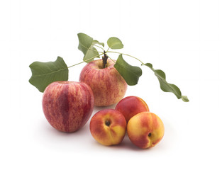 Apples and nectarines on a white background