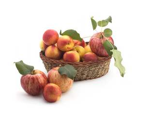 Apples and nectarines on a white background